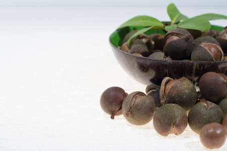 Macadamia nuts in shell, new harvest close up on white backgroundの写真素材