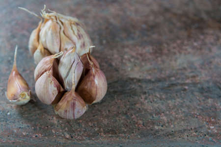 French dried violet garlic on granite plankの写真素材