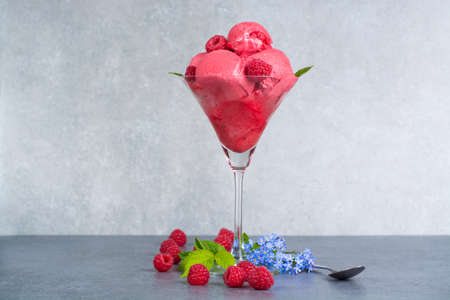Raspberry ice cream sorbet in high glass with spoon, raspberry, mint leaves  copy spaceの写真素材