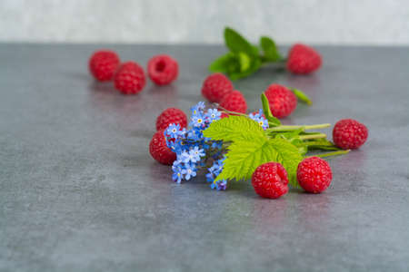 Sweet fresh raspberry with leaves, on grey background, copy spaceの写真素材