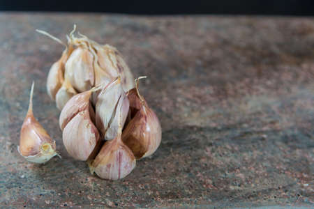 French dried violet garlic on granite plankの写真素材