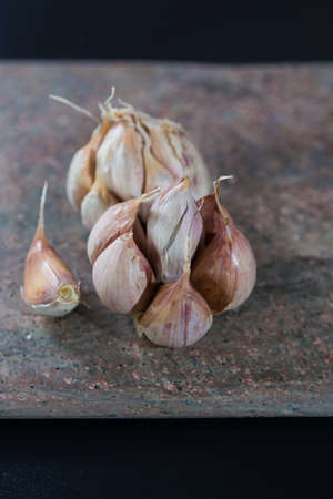 French dried violet garlic on granite plankの写真素材