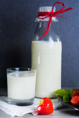 Fresh cow milk and ripe organic strawberry on grey background copy spaceの写真素材