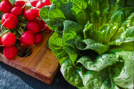 Fresh ingredients for healthy salad  organic red radish and green lettuce, avocadoの写真素材