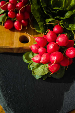 Fresh ingredients for healthy salad  organic red radish and green lettuceの写真素材