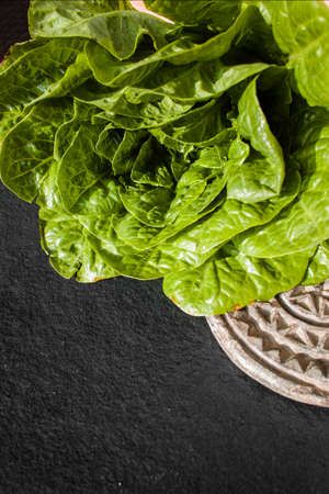 Green romaine lettuce  source of vitamins, ready to eatの写真素材