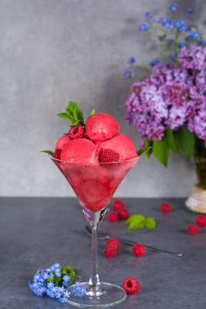 Raspberry ice cream sorbet in high glass with spoon, raspberry, mint leaves  copy spaceの写真素材