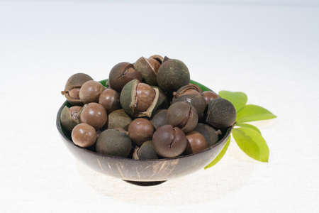 Macadamia nuts in shell, new harvest close up on white backgroundの写真素材