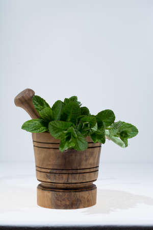 Fresh green mint in olive wood mortar