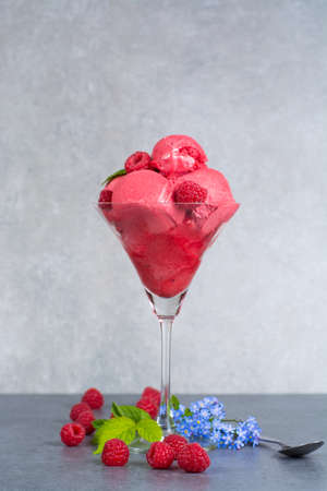 Raspberry ice cream sorbet in high glass with spoon, raspberry, mint leaves  copy spaceの写真素材