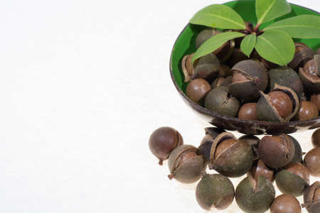 Macadamia nuts in shell, new harvest close up on white backgroundの写真素材