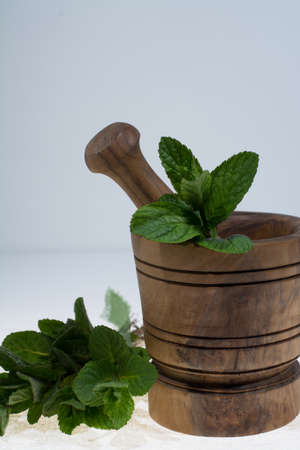 Fresh green mint in olive wood mortarの写真素材
