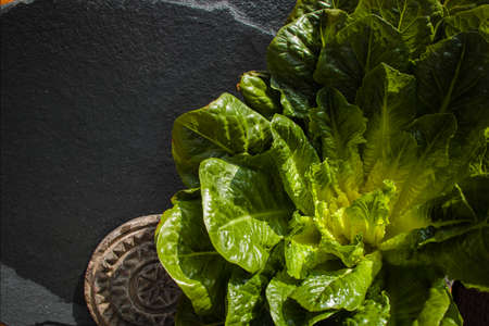 Green romaine lettuce  source of vitamins, ready to eatの写真素材