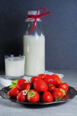 Fresh cow milk and ripe organic strawberry on grey background copy spaceの写真素材