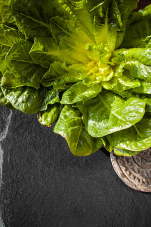 Green romaine lettuce  source of vitamins, ready to eatの写真素材
