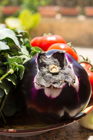 Ripe violet eggplant ball with broccoli and red tomatoes, fresh healthy vegetables ready to cookの写真素材
