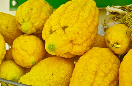 Ripe yellow Sicilian lemonsの写真素材