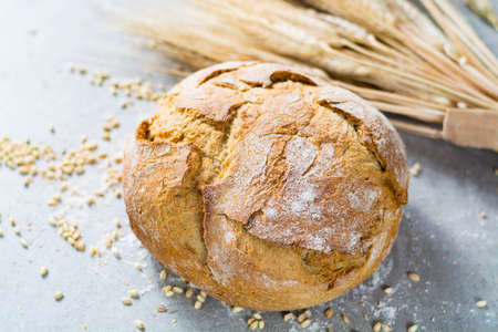 Freshly baked traditional wheat bread and wheat ears on the table