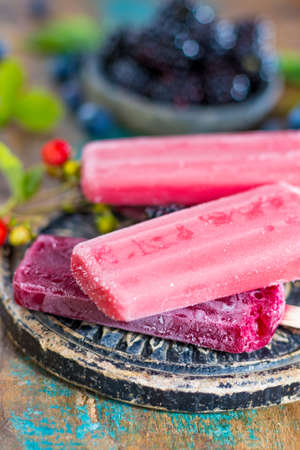 Fresh summer wild blueberries and  brambleberry, home made sorbet ice creamの写真素材