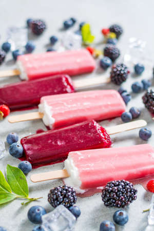 Fresh summer wild blueberries and  brambleberry, home made sorbet ice cream