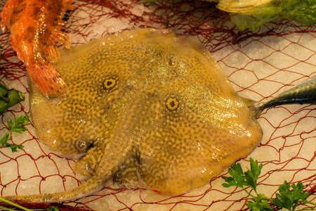 ?atch of fresh raw fish from Aegean sea, Sicily, Italy, ready to cook, on ice