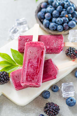 Fresh summer wild blueberries and  brambleberry, home made sorbet ice cream popsicles.の写真素材