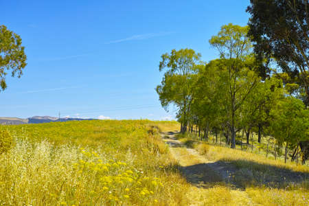 Landscape of middle Sicily between hills and the sea with fields summertimeの写真素材
