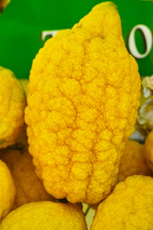 Ripe yellow Sicilian lemonsの写真素材