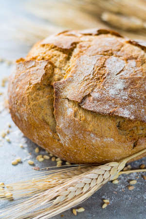 Freshly baked traditional wheat bread and wheat ears on the tableの写真素材