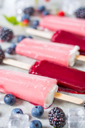 Fresh summer wild blueberries and  brambleberry, strawberry and home made ice cream popsicles.の写真素材