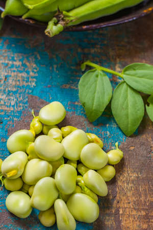 Healthy fresh legumes, new harvest on broad lima white big beansの写真素材