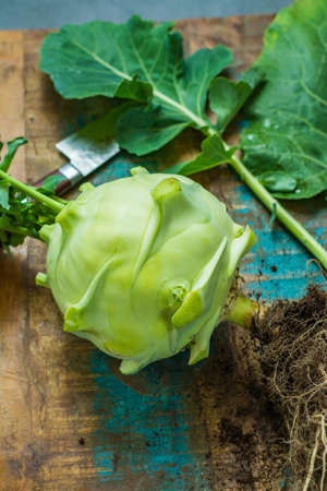 Fresh green kohlrabi with green leaves ready to eat from the garden, new harvestの写真素材