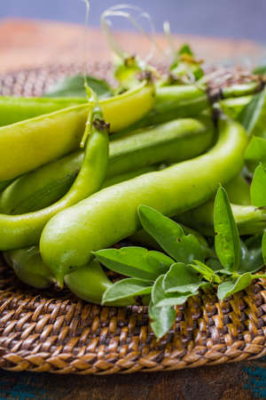 Healthy fresh legumes, new harvest on broad lima white big beansの写真素材