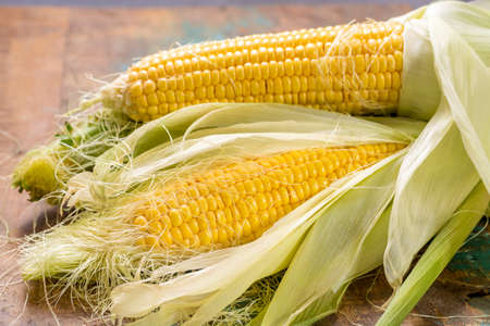 Fresh yellow ripe sweet raw corn on rustic wooden table, closeupの写真素材