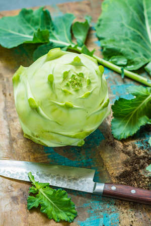 Fresh green kohlrabi with green leaves ready to eat from the garden, new harvestの写真素材