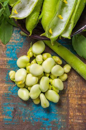 Healthy fresh legumes, new harvest on broad lima white big beansの写真素材