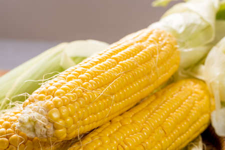 Fresh yellow ripe sweet raw corn on rustic wooden table, closeupの写真素材