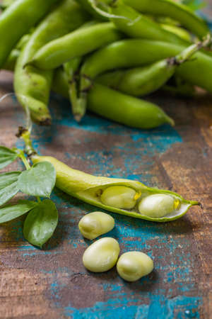 Healthy fresh legumes, new harvest on broad lima white big beansの写真素材
