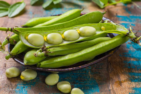 Healthy fresh legumes, new harvest on broad lima white big beansの写真素材