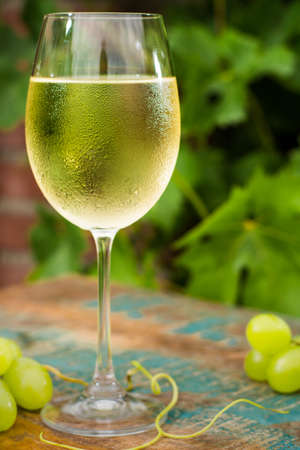 Wine glass with ice cold white wine, outdoor terrace, wine tasting in sunny day, green vineyard garden background and white grapeの写真素材