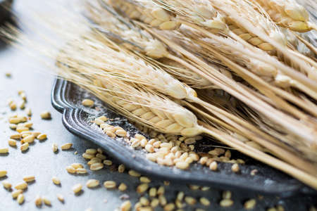 Organic ingredients for bread or pasta preparationの写真素材