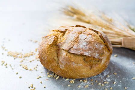 Freshly baked traditional wheat bread and wheat ears on the tableの写真素材