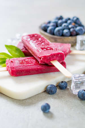 Fresh summer wild blueberries and home made sorbet ice cream popsicle.の写真素材