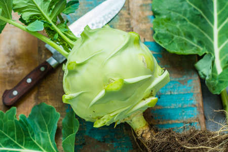 Fresh green kohlrabi with green leaves ready to eat from the garden, new harvestの写真素材