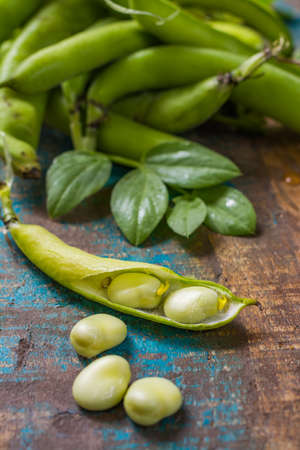 Healthy fresh legumes, new harvest on broad lima white big beansの写真素材