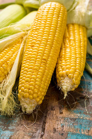 Fresh yellow ripe sweet raw corn on rustic wooden table, closeupの写真素材