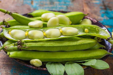 Healthy fresh legumes, new harvest on broad lima white big beansの写真素材