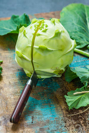 Fresh green kohlrabi with green leaves ready to eat from the garden, new harvestの写真素材
