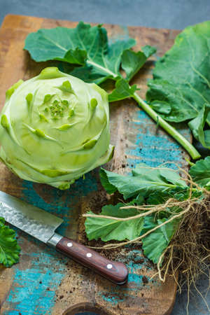 Fresh green kohlrabi with green leaves ready to eat from the garden, new harvestの写真素材
