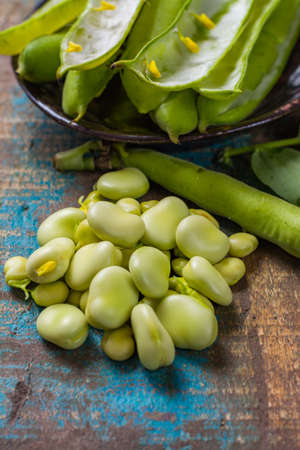 Healthy fresh legumes, new harvest on broad lima white big beansの写真素材